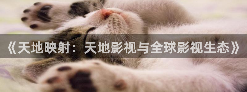 汤姆影院最新网址入口：《天地映射：天地影视与全球影视生态》