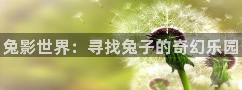 汤姆在线影院：兔影世界：寻找兔子的奇幻乐园