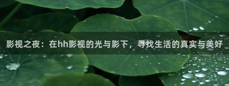 汤姆在线观看免费版：影视之夜：在hh影视的光与影下，寻找生活的真实与美好