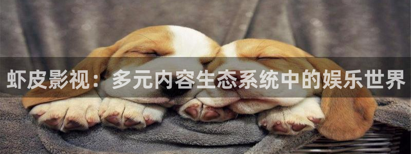 汤姆影院四皮：虾皮影视：多元内容生态系统中的娱乐世界