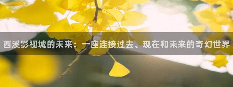 汤姆网站：西溪影视城的未来：一座连接过去、现在和未来的奇幻世界