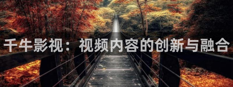 汤姆电影：千牛影视：视频内容的创新与融合