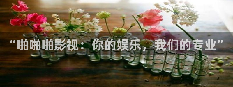汤姆影院在线影院：“啪啪啪影视：你的娱乐，我们的专业”
