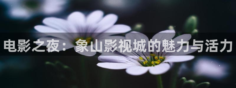 汤姆影院色：电影之夜：象山影视城的魅力与活力