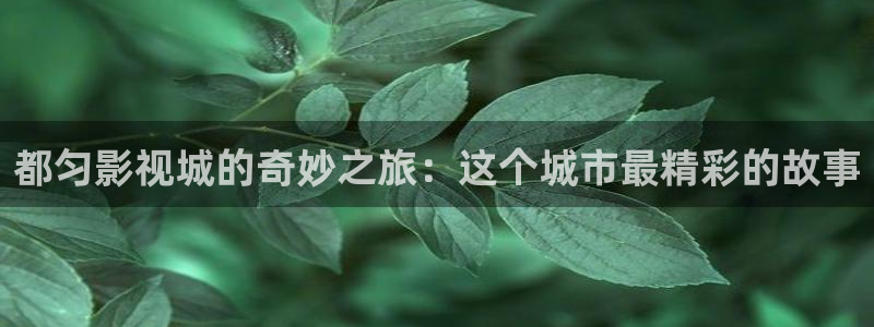 汤姆影院在线视频：都匀影视城的奇妙之旅：这个城市最精彩的故事