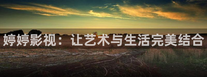 汤姆影院avto：婷婷影视：让艺术与生活完美结合
