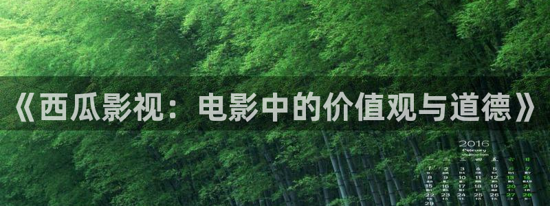 汤姆影院提醒：《西瓜影视：电影中的价值观与道德》