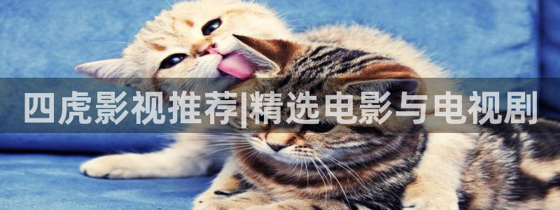 汤姆影院18禁：四虎影视推荐|精选电影与电视剧