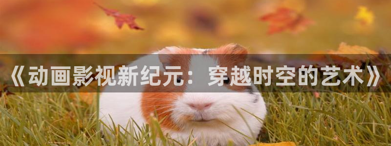 汤姆私人影院首页：《动画影视新纪元：穿越时空的艺术》