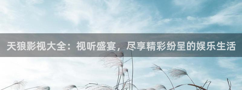 汤姆影院tom影院隐藏入口在哪：天狼影视大全：视听盛宴，尽享精彩纷呈的娱乐生活