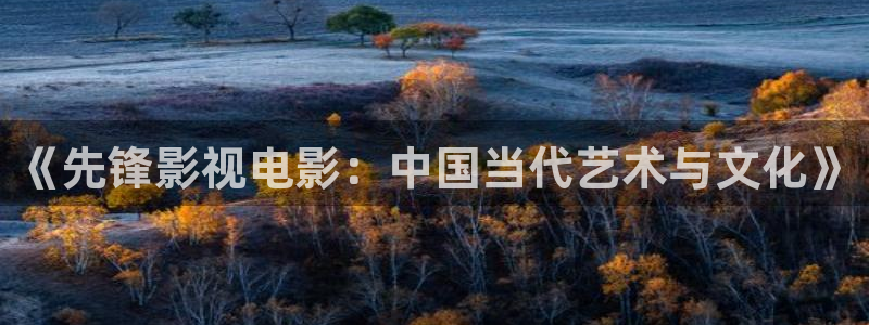汤姆影院新网址：《先锋影视电影：中国当代艺术与文化》