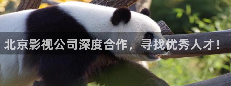 在线汤姆影院：北京影视公司深度合作，寻找优秀人才！