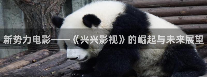 汤姆影院avtom在线观看：新势力电影——《兴兴影视》的崛起与未来展望