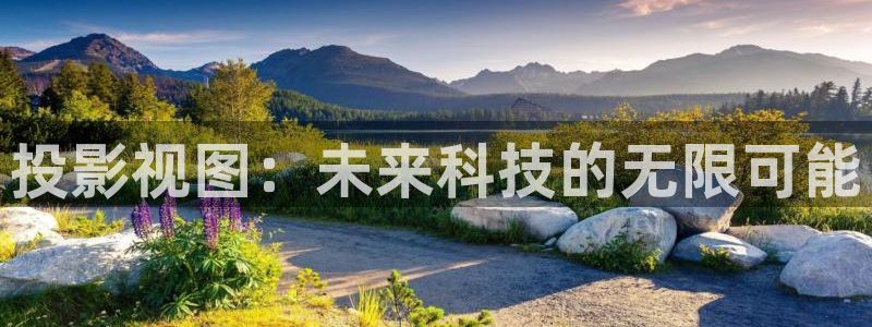 汤姆影院app：投影视图：未来科技的无限可能