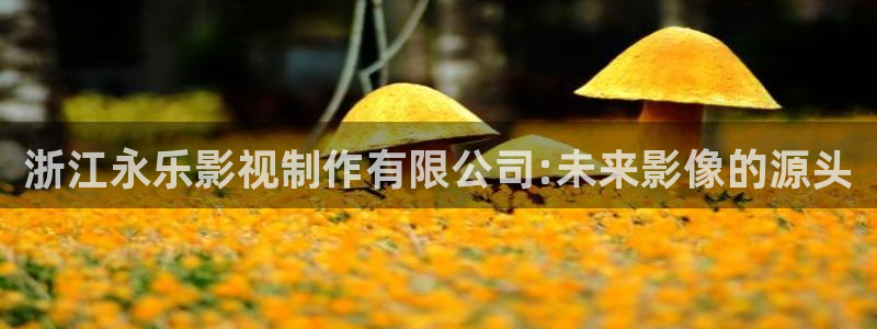 汤姆猫大电影在线观看：浙江永乐影视制作有限公司:未来影像的源头